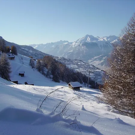 Mayens De L Ours Cz 031 - Mountain 6 Per