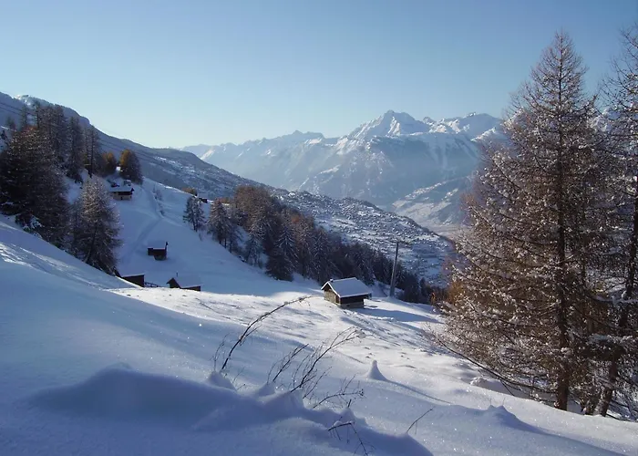 Mayens De L Ours Cz 031 - Mountain 6 Per